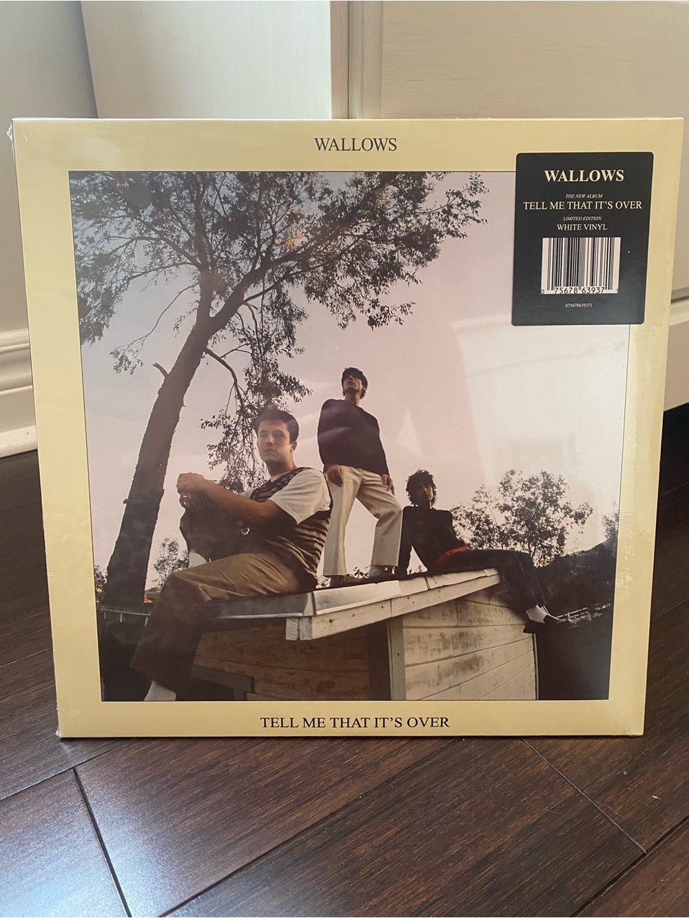 SEALED Wallows - Tell Me That It's Over (White Vinyl)